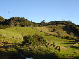 ニュージーランド